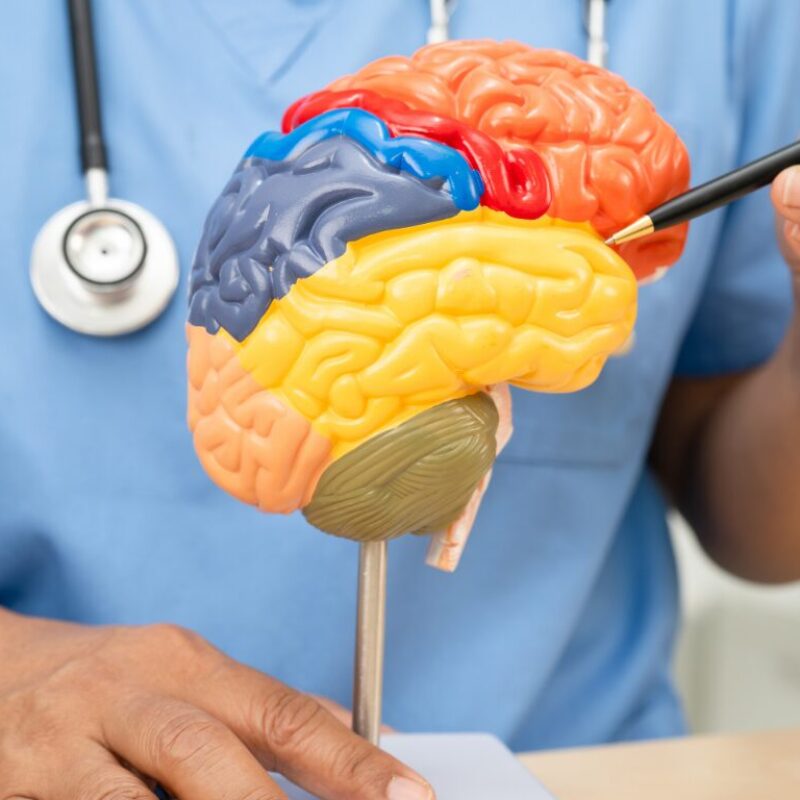 Business Website (23)