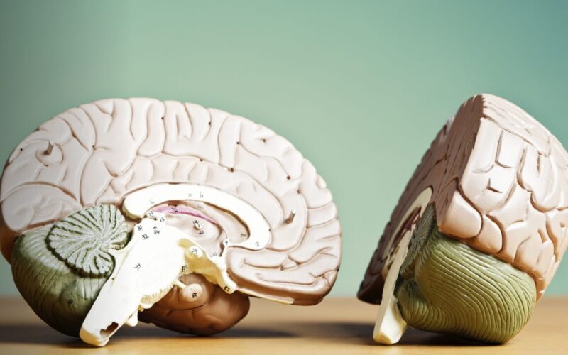 thumbnail miniatura para youtube psicologica oscura blanco rojo (25)